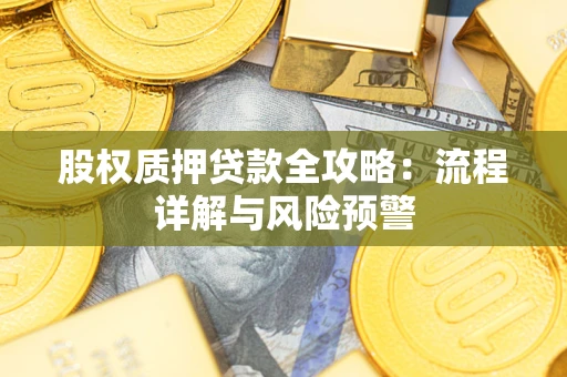 北京股权质押贷款全攻略：流程详解与风险预警
