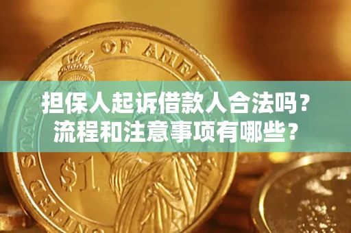 北京担保人起诉借款人合法吗？流程和注意事项有哪些？