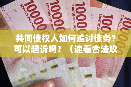 北京共同债权人如何追讨债务？可以起诉吗？（速看合法攻略）