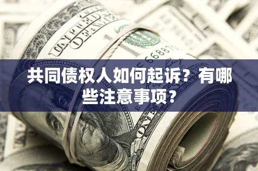 北京共同债权人如何起诉？有哪些注意事项？